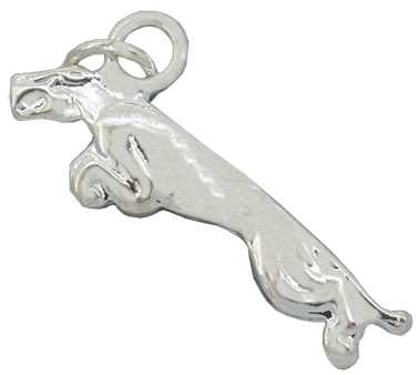 Jaguar Silver Charm