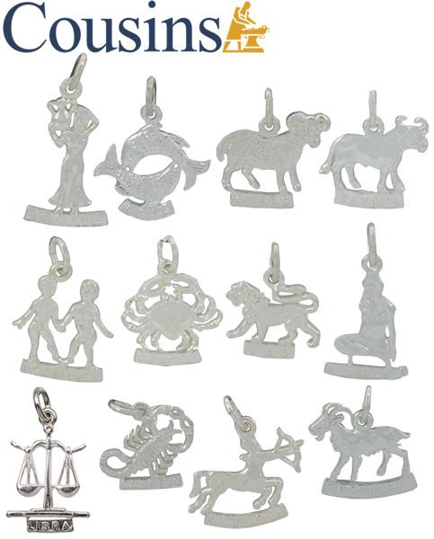 Zodiac Charms
