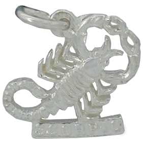 Scorpio Silver Charm