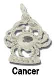 Cancer Silver Charm
