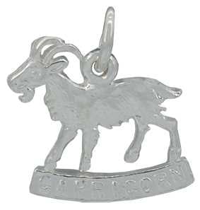 Capricorn Silver Charm