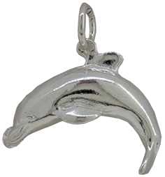 Dolphin (2) Silver Charm