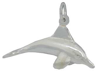 Dolphin (4) Silver Charm