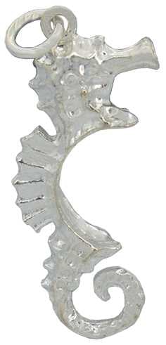 Sea Horse Silver Charm