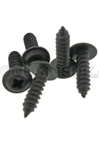 Case Screw for Movement