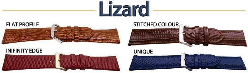 Lizard