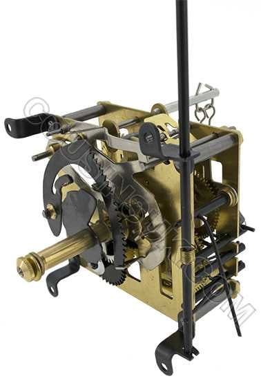 KW60 (24cm) 1 Day Movement