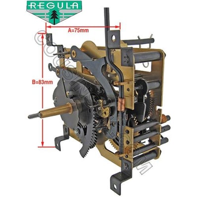 Regula 25 (1 Day)