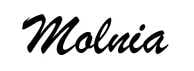 Molnia Movement Parts