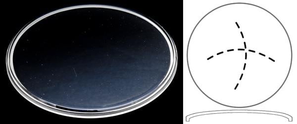 Ø30.00mm (H2.55mm x Pan) Patek Philippe Calatrava