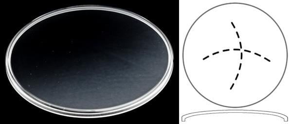 Ø35.70mm (H2.50mm x Pan) Patek Philippe Annual Calendar