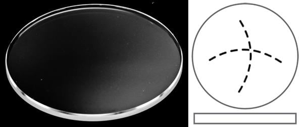 Ø28.90mm (H2.30mm x T1.40mm) Patek Philippe Twenty-4