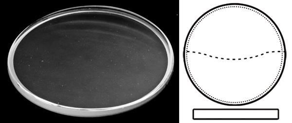 Ø16.90mm (Case Back Crystal x T1.15mm) Patek Philippe Twenty-4