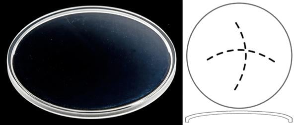 Ø31.00mm (H2.70mm x Pan) Patek Philippe Calatrava