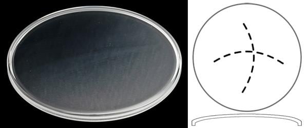 Ø33.00mm (H2.80mm x Pan) Patek Philippe Calatrava