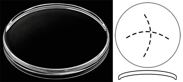 Ø37.00mm (H5.10mm x Pan) Panerai Radiomir