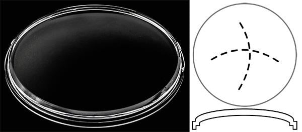 Ø39.00mm (H4.70mm x Pan) Panerai Radiomir
