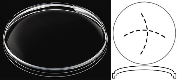 Ø41.80mm (H7.10mm x Pan) Panerai Radiomir