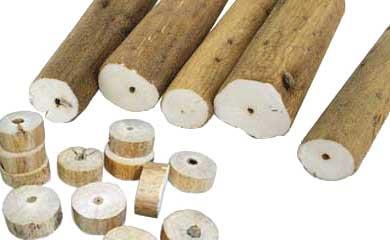 Pith Wood
