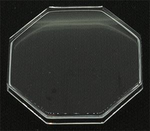 21.5 x 21.5 (RA)