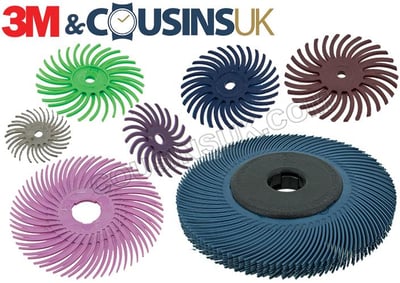 Radial Bristle Discs