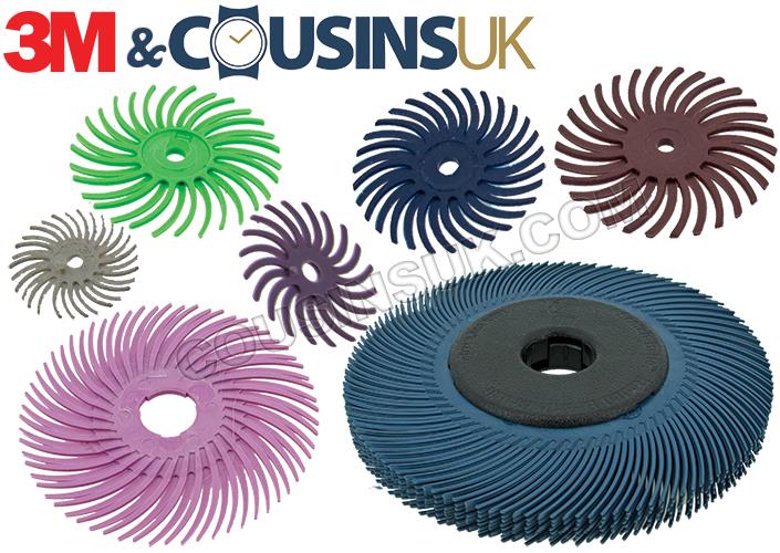 Radial Bristle Discs