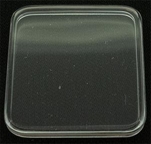 RR (E) Sternkreuz 24.2 x 20.2 (Flat Flush) with gasket
