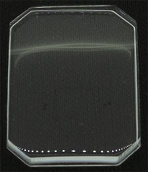 21.0 x 15.0 (RS)