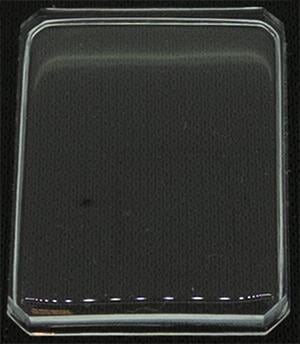 21.3 x 16.0 (RS)