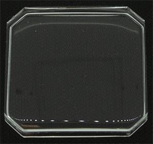 21.9 x 21.9 (RS)