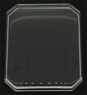 24.5 x 19.0 (RS)