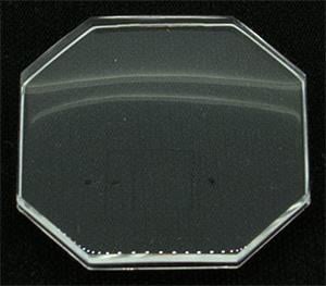 25.0 x 25.0 (RS)