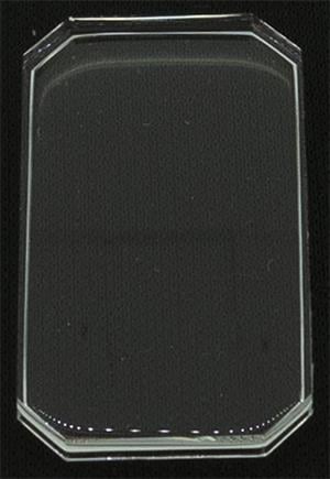 28.0 x 16.0 (RS)