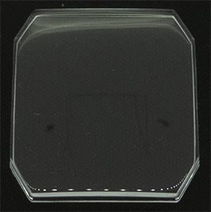 28.6 x 24.8 (RS)