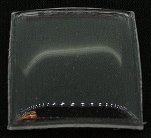 RX (E) Sternkreuz 24.0 x 20.0 x 5