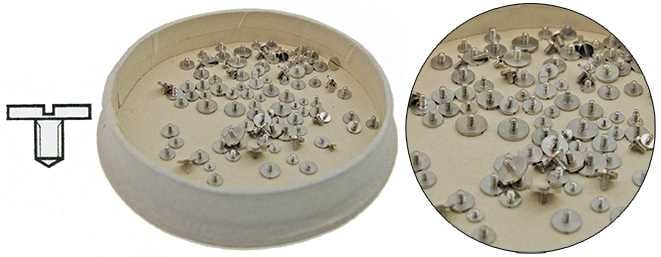 Ratchet Wheel Screws (Diagram 2)
