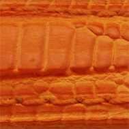 Orange 12mm (10mm)