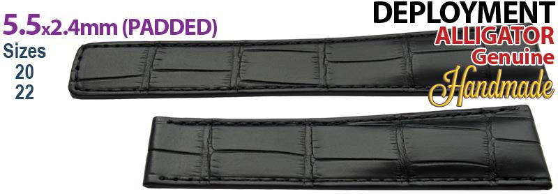 Alligator