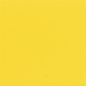 Yellow Fitbit Versa/Versa 2