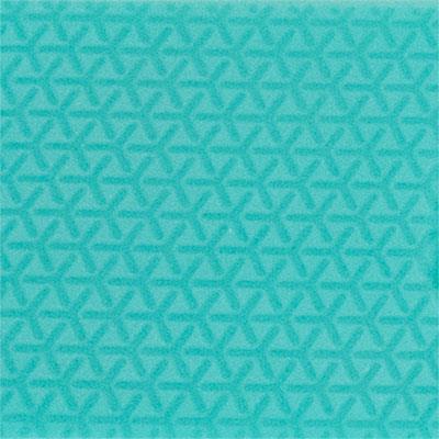 Turquoise Fitbit Ionic