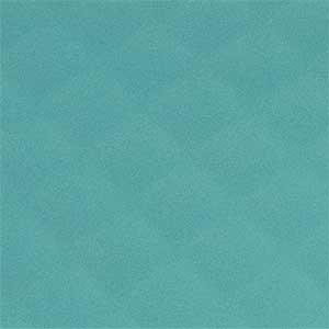 Turquoise Fitbit Charge 3
