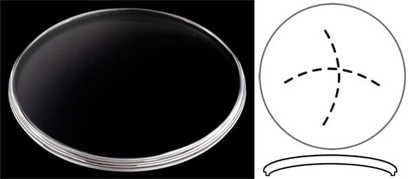 Ø36.00mm (Ø35.00mm x H3.83mm x T2.75mm) Tudor Heritage Ranger