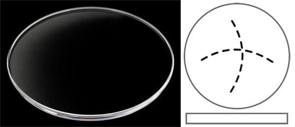 Ø35.80mm (Ø35.00mm x H3.00mm x T1.85mm) Tudor Heritage Advisor