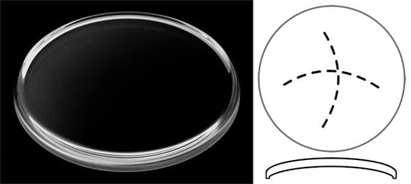 Ø32.50mm (H3.85mm x Pan) Tudor Black Bay GMT