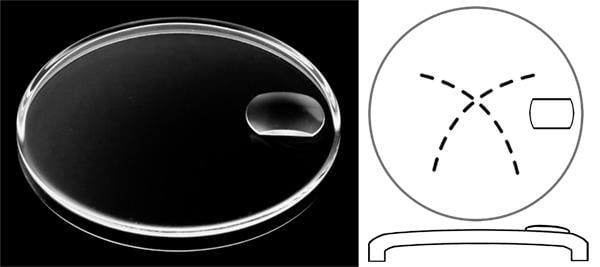 Ø30.50mm (H3.50mm x T0.60mm) Tudor Prince