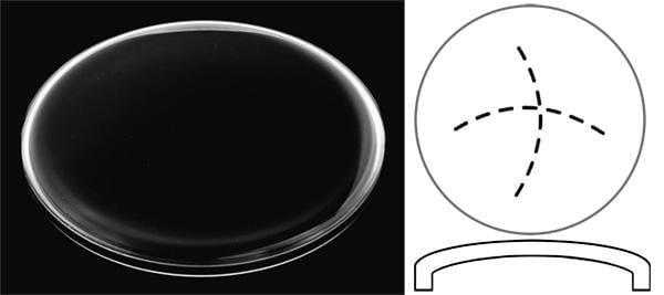 Ø29.20mm (H3.80mm x T0.45mm) Tudor Monte Carlo
