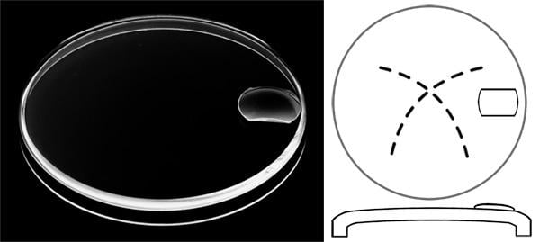 Ø27.90mm (H3.50mm x T0.50mm) Tudor Prince Date