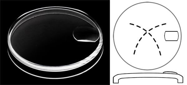 Ø20.90mm (H3.60mm x T0.55mm) Tudor Prince Date