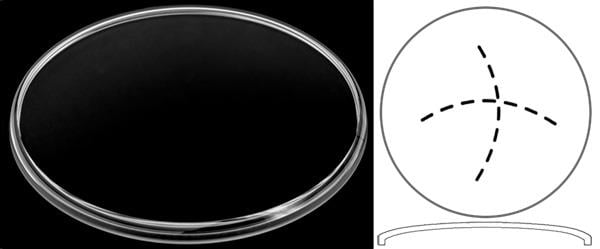 Ø34.00mm (H2.90mm x Pan) Vacheron Constantin Historiques Cornes De Vache
