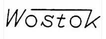 Wostok Movement Parts
